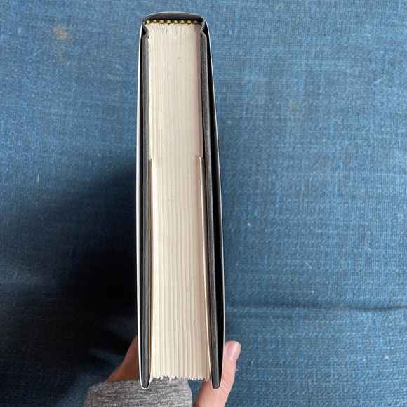 The Burning Times - Jeanne Kalogridis. Historical fiction. Medieval France. - Picture 8 of 9